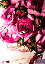 composition bouquet de mariee mariage cote d'azur