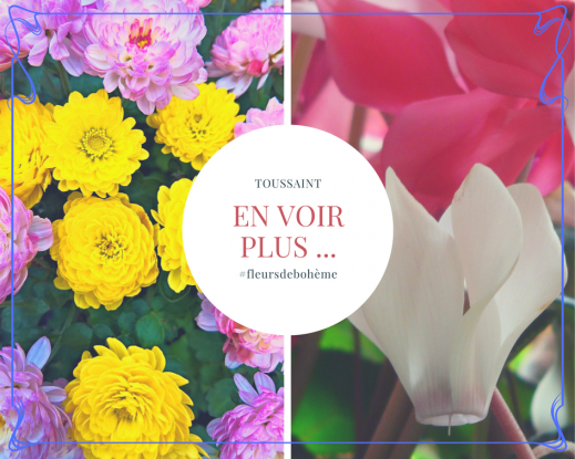 toussaint bouquet chrysantheme Cyclamènes Bruyères Hellébores