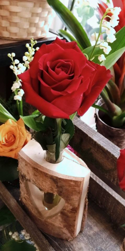 Rose et muguet pour le 1er mai à saint laurent du var