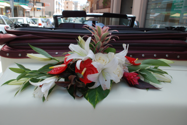 decors sur voitur ancienne excalibur