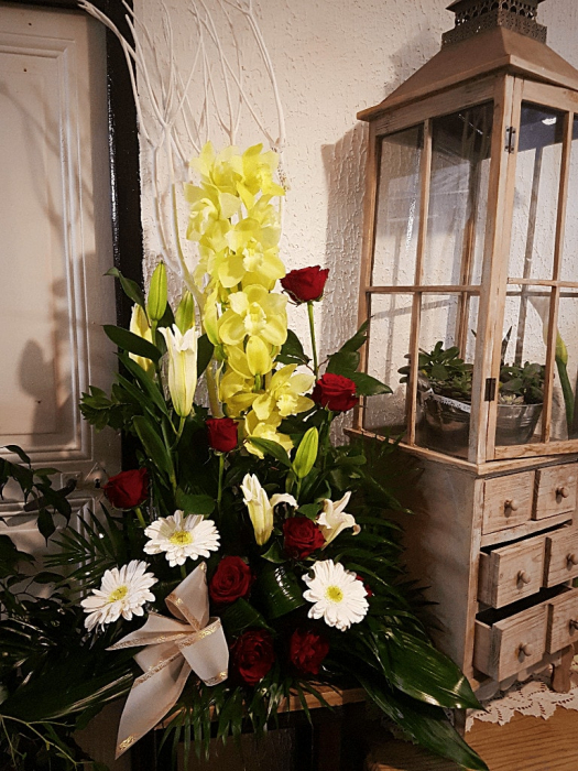 belle plante pour la fete des meres fleurs de boheme