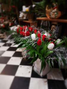 bouquet de tulipe dans magasin de fleurs de boheme a st laurent du var