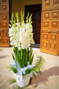 jarre plante pour mariage