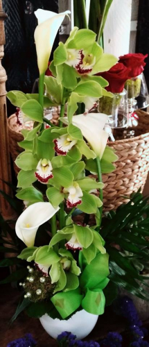 plante chez fleuriste à saint laurent du var pour le 1er mai