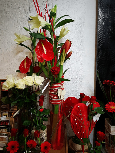 offrir une plante grasse pour la saint valentin