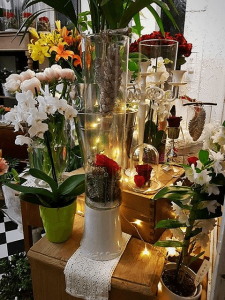 rose intemporelle belle et la bete